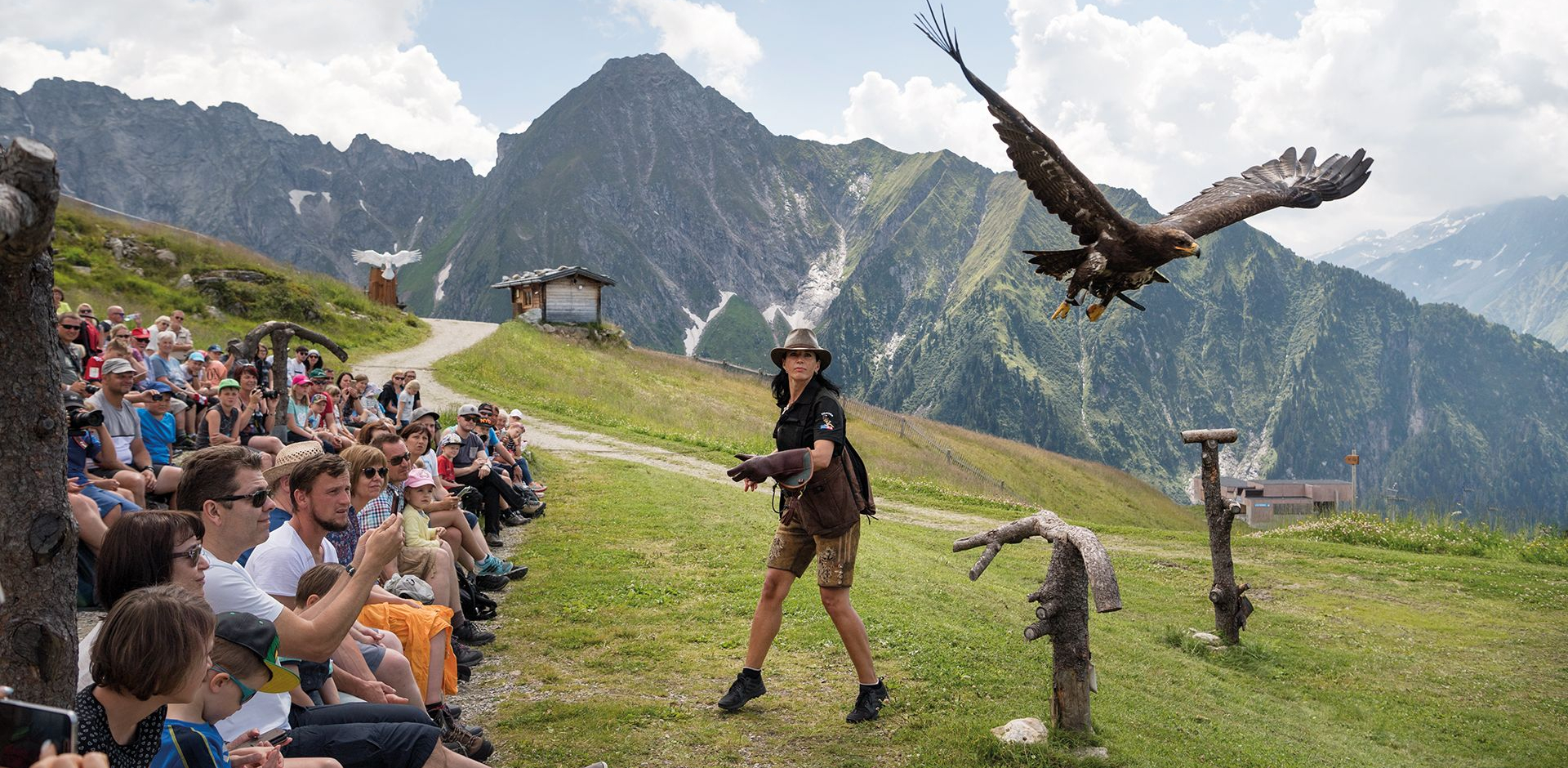 Greifvogelvorführung Mayrhofen Adlerbühne Ahorn