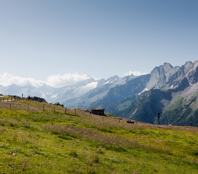 Landschaft Ahorn