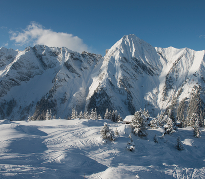 Winterlandschaft Ahorn