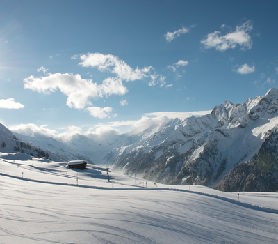 Winterlandschaft Ahorn