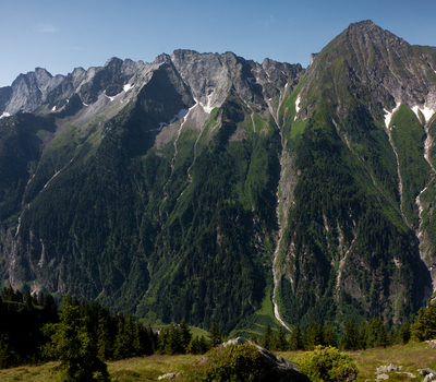 Landschaft Berge Ahorn