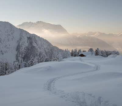 Winterlandschaft Ahorn